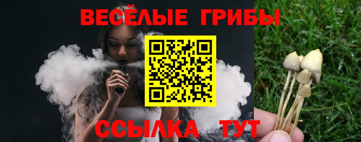 Качканар  Псилоцибиновые грибы прущие грибы  Псилоцибиновые грибы ЛСД  Вход с VPN 